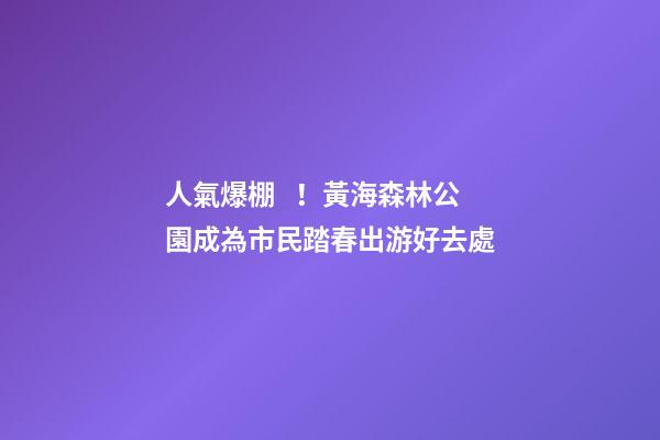 人氣爆棚！黃海森林公園成為市民踏春出游好去處